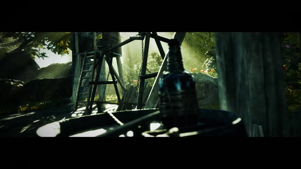 Preview frame from Environment MGR